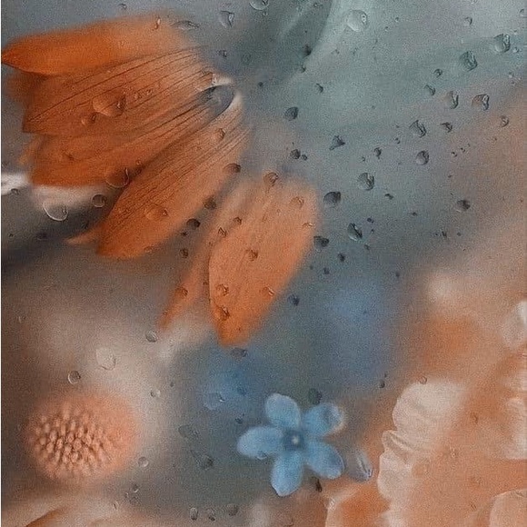 Meet your Posher, Selena - Picture 1 of 1